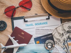 Discovering the Best Travel Insurance: Insights from Reddit