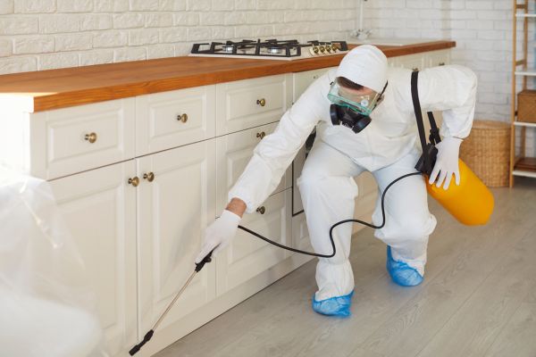 insurance for professional services